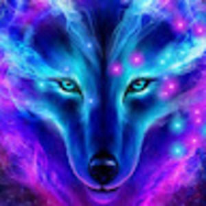 Meet your Posher, Elin